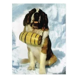 Vintage Switzerland St Bernard dog with  brandy Postcard