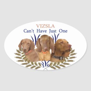 Vizsla Can't Have Just One Products Oval Sticker