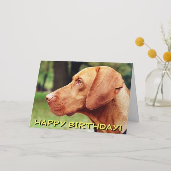 Vizsla dog birthday card