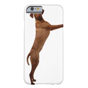 Vizsla Dog Case-Mate iPhone Case