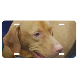 Vizsla Dog License Plate