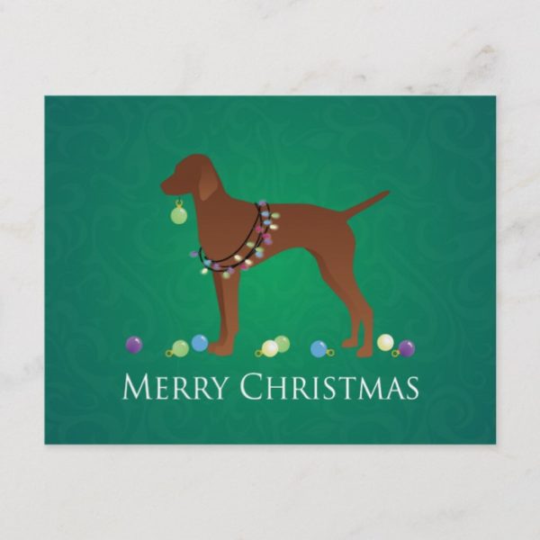Vizsla Dog Merry Christmas Design Holiday Postcard