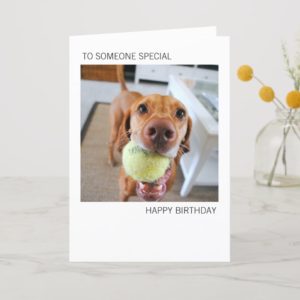 Vizsla Dog With Ball In Mouth Birthday Card