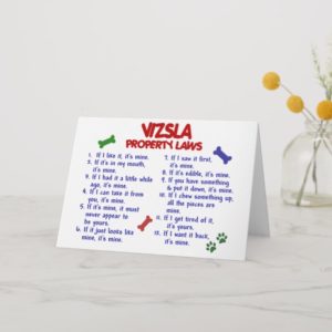 VIZSLA Property Laws 2 Card