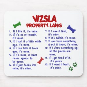 VIZSLA Property Laws 2 Mouse Pad