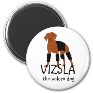 Vizsla The Velcro Dog magnet