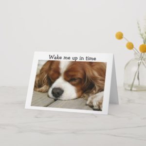 "WAKE ME UP IN TIME" BIRTHDAY GREETING CARD