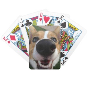 Welsh Corgi Dog Nose Collection Bicycle Playing Cards