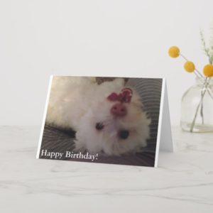 White, Funny Puppy Happy Birthday card