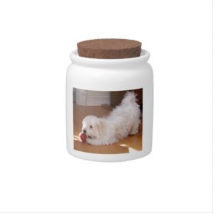 White Havanese Puppy Playing with Red Ball Candy Jar