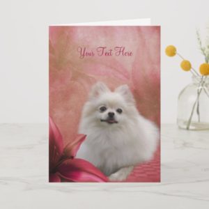 White Pomeranian Red Lily Dog Art Photo Card