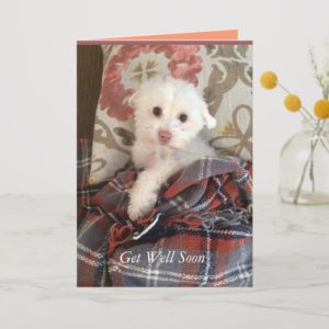 White Puppy Under a Blanket Get Well Soon Card