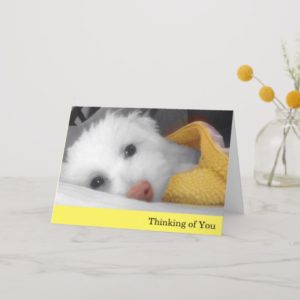 White Puppy, Yellow Blanket Thinking of You Card