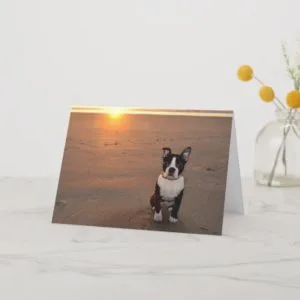 Wish You Were Here Card
