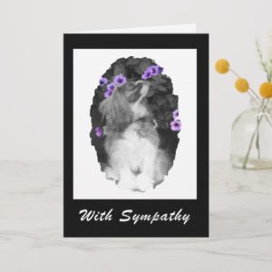 With Sympathy Cavalier King Charles Card