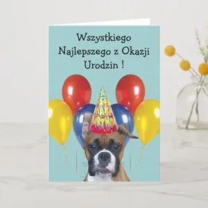Wszystkiego Najlepszego boxer dog greeting card
